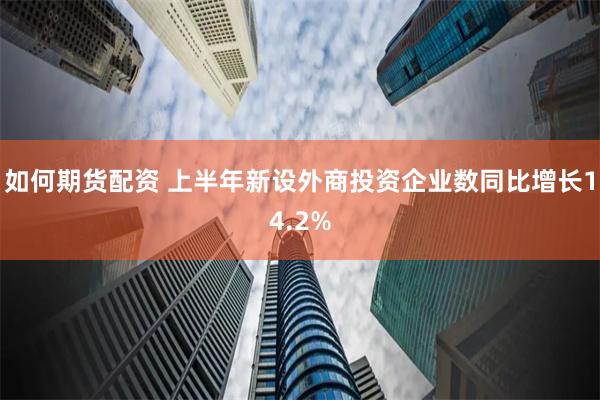 如何期货配资 上半年新设外商投资企业数同比增长14.2%