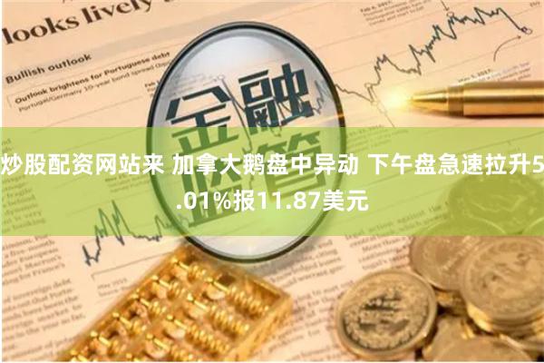 炒股配资网站来 加拿大鹅盘中异动 下午盘急速拉升5.01%报11.87美元