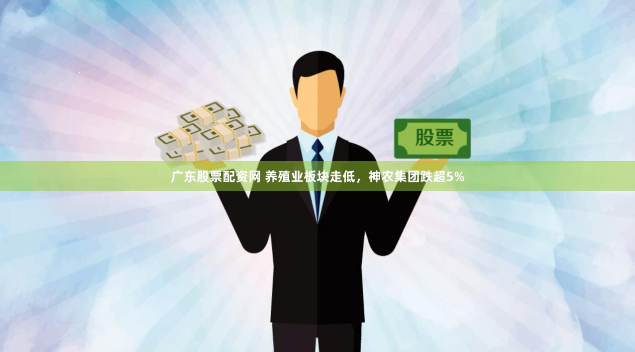 广东股票配资网 养殖业板块走低，神农集团跌超5%